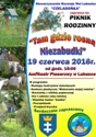 niezabudki lomazy