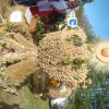 Dożynki Powiatowe 2015
