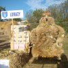 Dożynki Powiatowe 2015