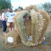 Dożynki Powiatowe 2015