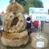 Dożynki Powiatowe 2015