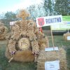 Dożynki Powiatowe 2015