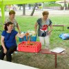 Piknik Rodzinny 2017