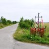 Kopytnik